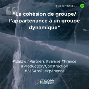 Avis Baldwin " La cohésion de groupe"